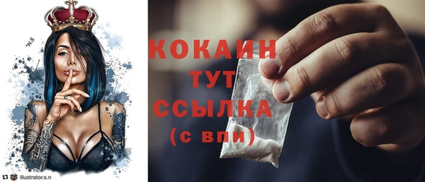 индика Верхний Тагил