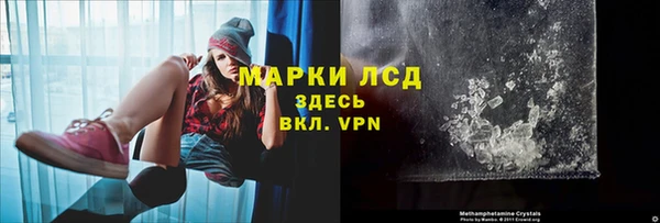 индика Верхний Тагил