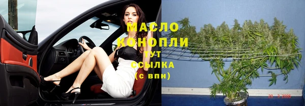 мет Бородино
