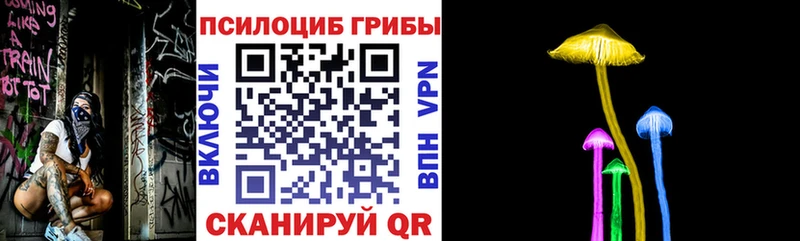 Купить где  Нижняя Салда  Галлюциногенные грибы Psilocybine cubensis 